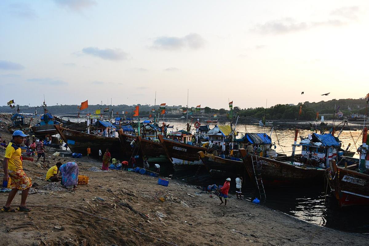 Fishing boats in an Indian harbour